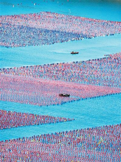 中国海水产品产量连续多年全球第一——看看咱超700亿斤的“海产库”