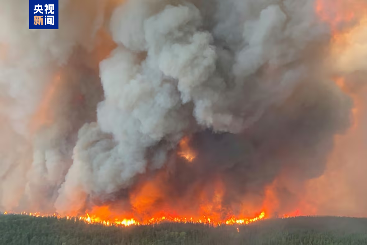加拿大野火肆虐 过火面积超7.3万平方公里