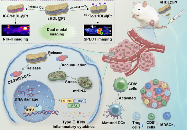 科学与健康丨“多兵种协同”！我国肿瘤治疗向精准医学迈进
