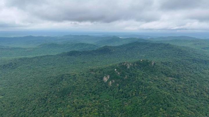 新华全媒+｜鸡冠山东北抗联密营遗址考古发掘成果在哈尔滨公布