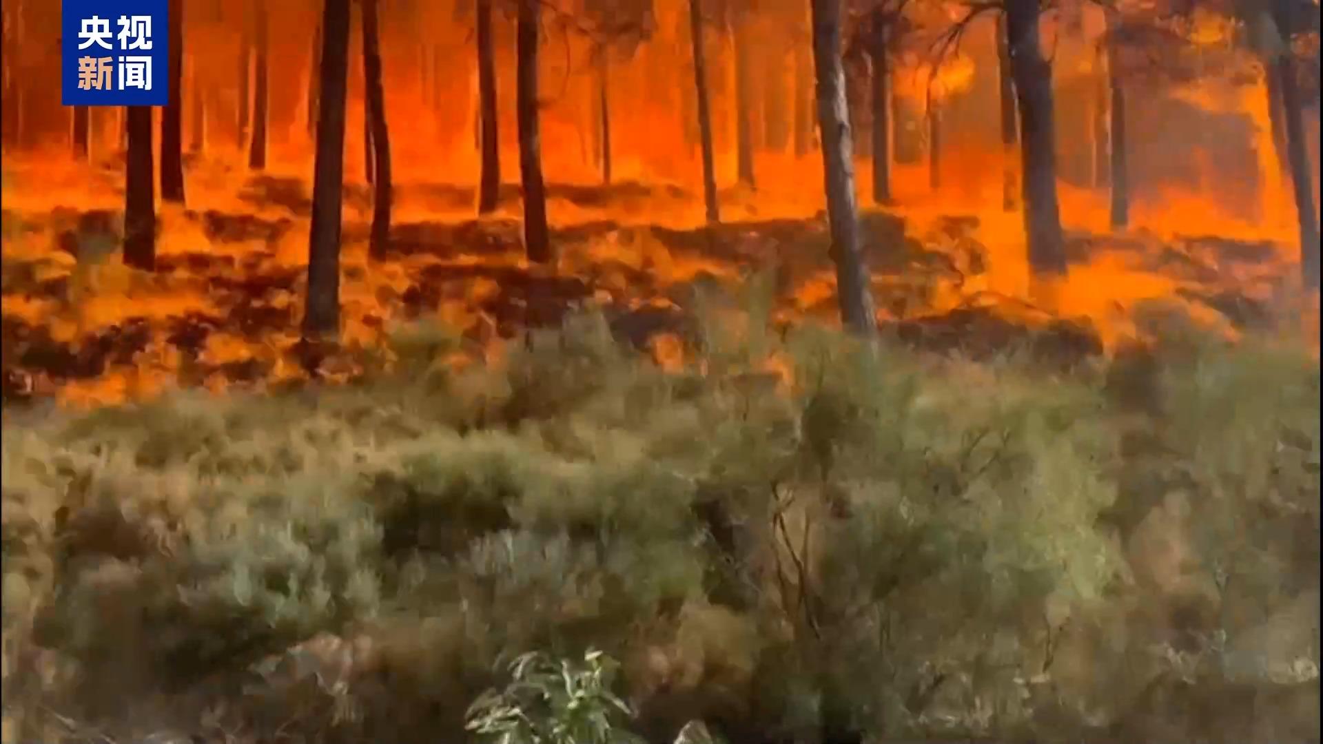 欧盟今年已有超100万公顷土地遭山火侵袭