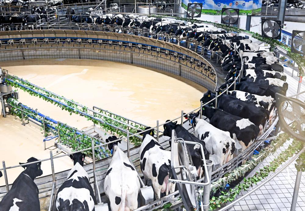 活力中国调研行｜一盒牛奶的“碳中和”之旅