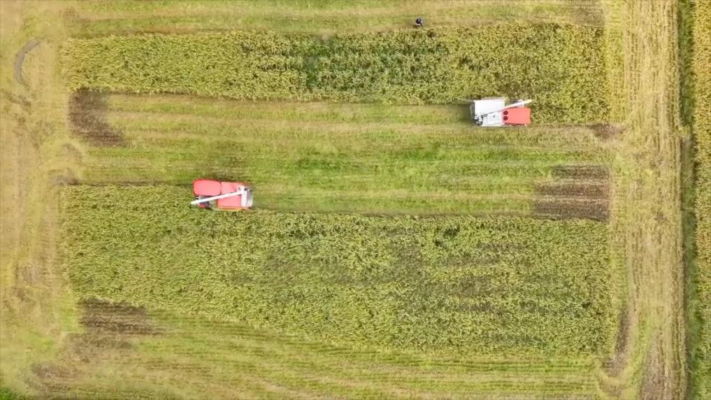 新华视点｜科技扎根田野间 多地探索农业高质量发展新路径