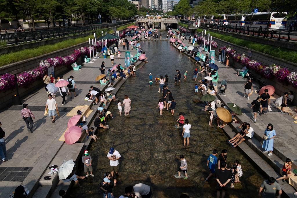 韩国：单人户数量首次破1000万 占家庭总数比重超4成