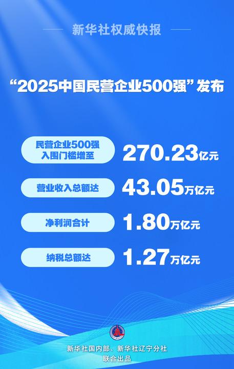 新华鲜报丨大显身手！“2025中国民营企业500强”发布