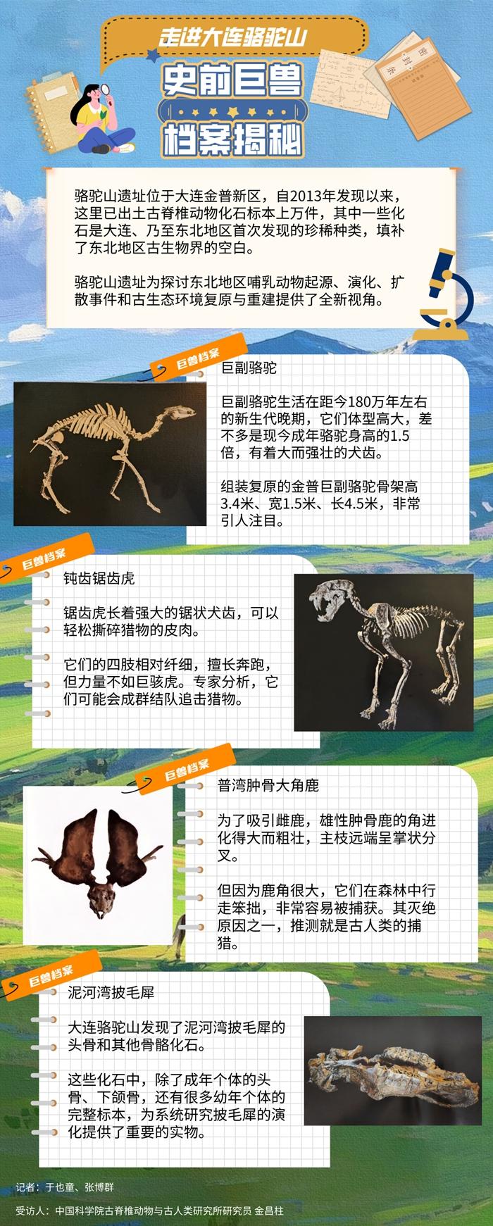 走进大连骆驼山：史前巨兽档案揭秘