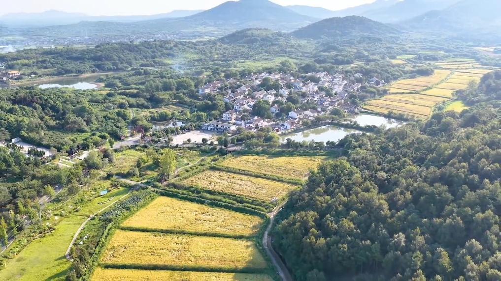 新华视点｜各地多维度发力 多元探索绘就乡村振兴新画卷