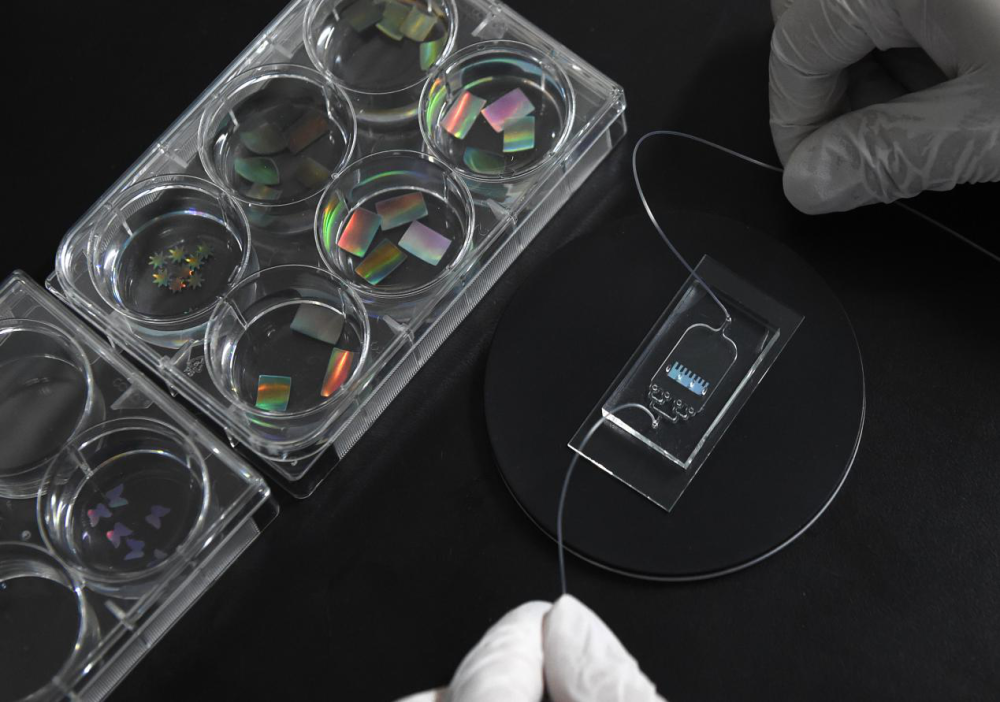 中国芯力量丨在“芯片”上“种”器官