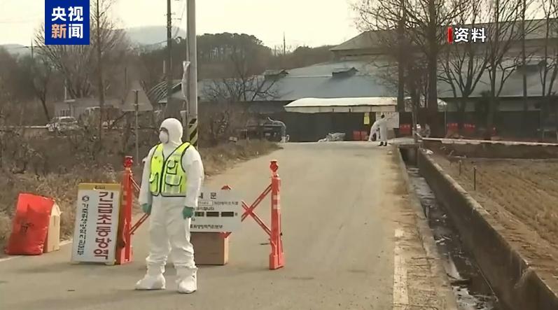 韩国报告今秋首起高致病性禽流感疫情
