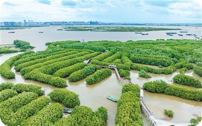 碳市场2.0，中国这样布局