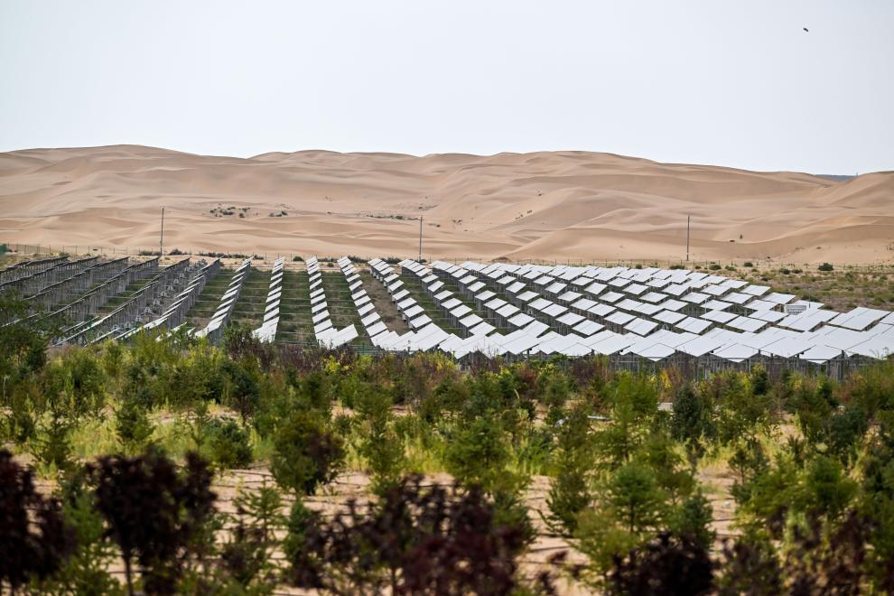 中国防沙治沙经验助力全球生态治理