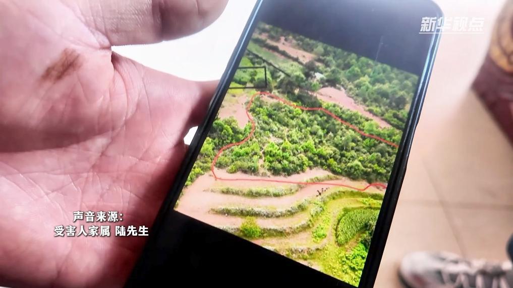 新华视点丨胡蜂消费背后的安全隐患