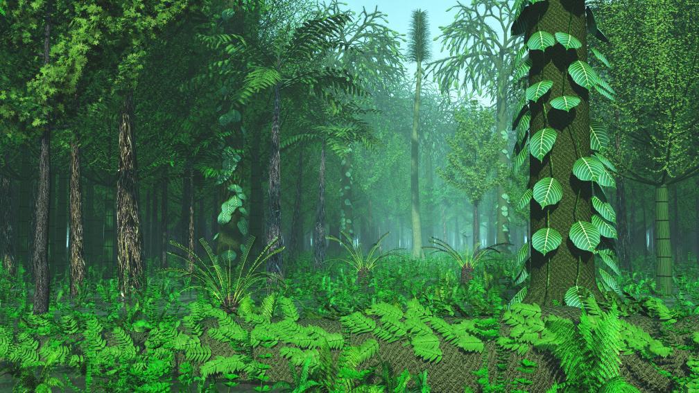 远古发现｜2.5亿年前一场“森林倒塌”，如何演变成全球性灾难