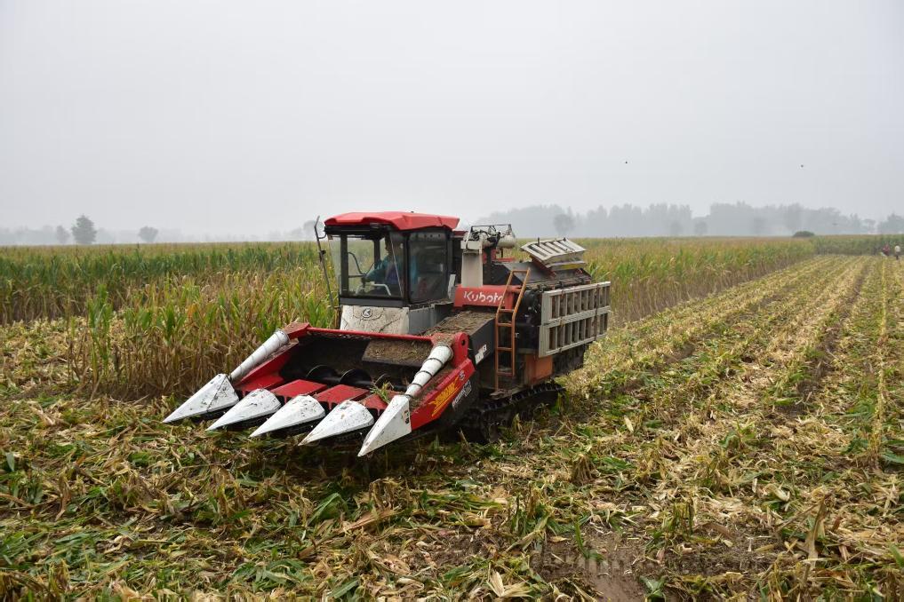 新华视点丨如何打好秋收秋种这场硬仗？