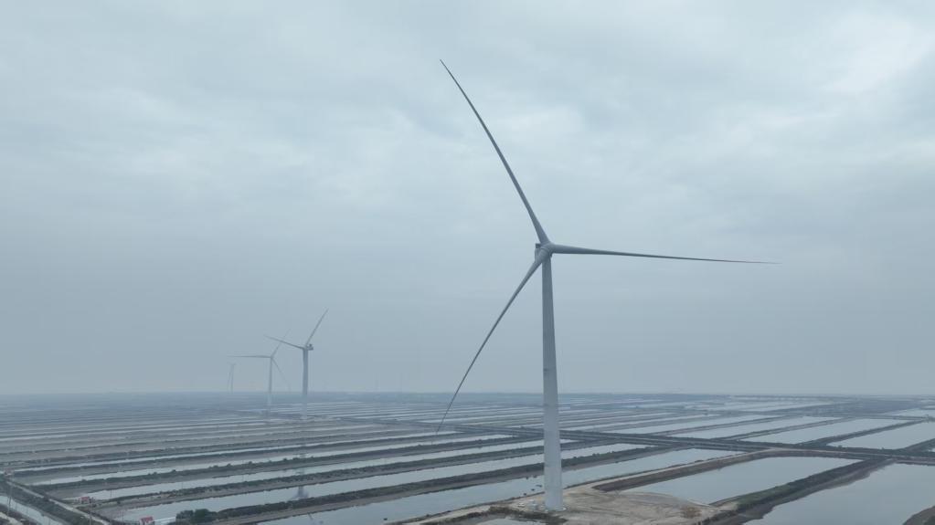全球最大！26兆瓦级海上风电机组在山东并网发电