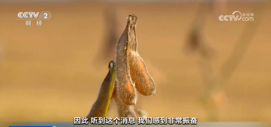 中美就扩大农产品贸易达成共识 美国豆农如释重负