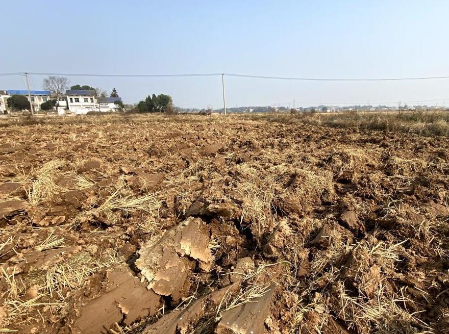 四中全会精神在基层丨湖南浏阳：一亩耕地的“生长”