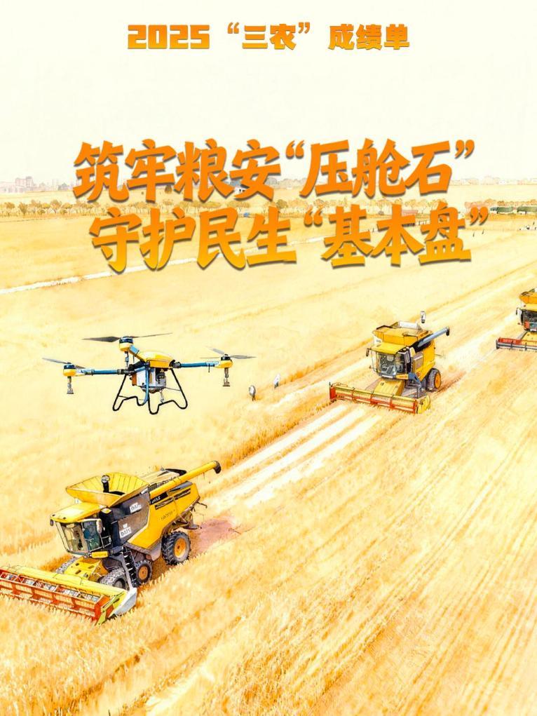2025“三农”成绩单丨筑牢粮安“压舱石” 守护民生“基本盘”