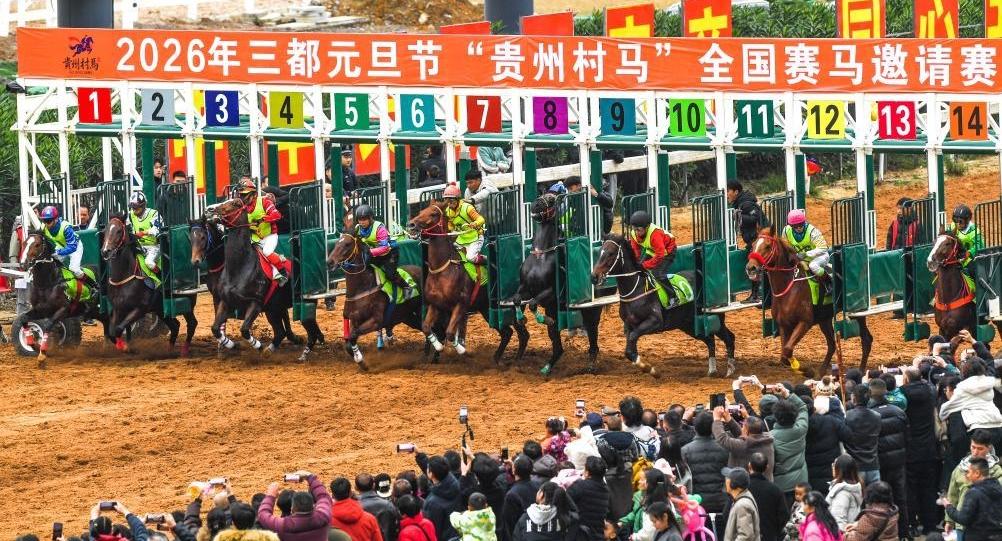 贵州“村马”迎元旦