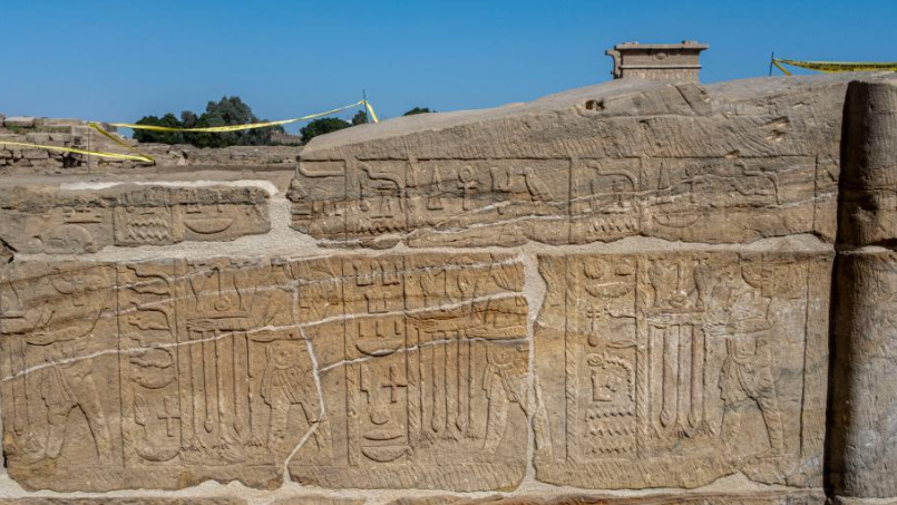 中埃联合考古队发布重要考古成果