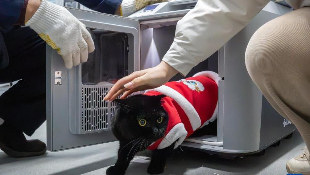 “萌宠”旅客春运进行时