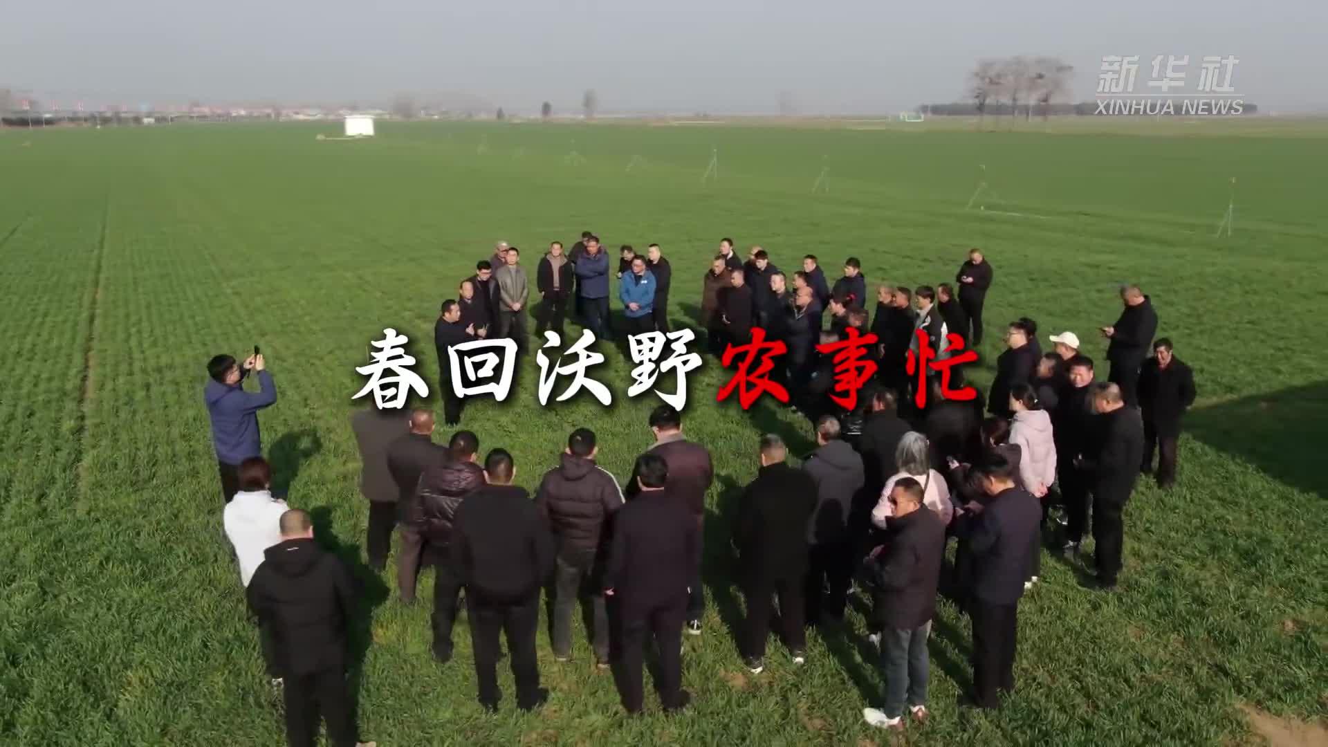 春暖一线看生产丨春回沃野农事忙
