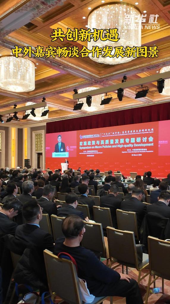 共创新机遇：中外嘉宾畅谈合作发展新图景