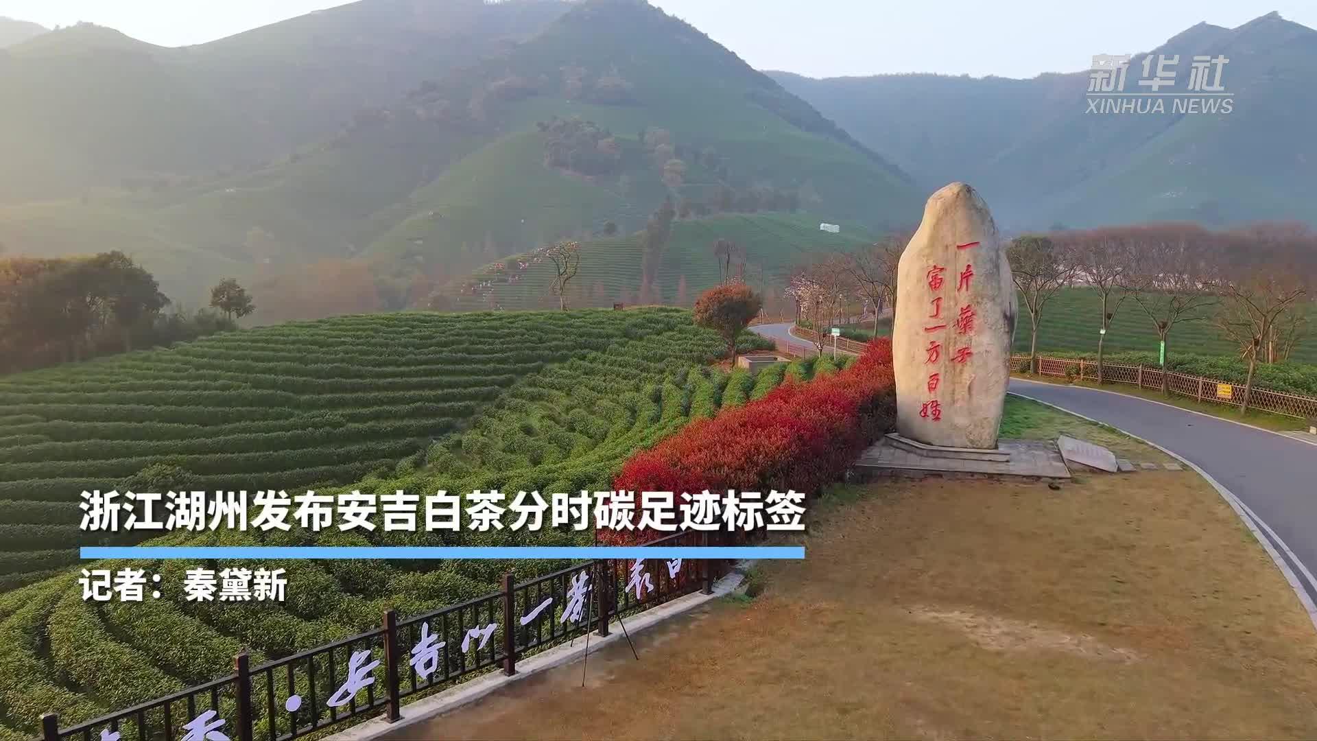 浙江湖州发布安吉白茶分时碳足迹标签