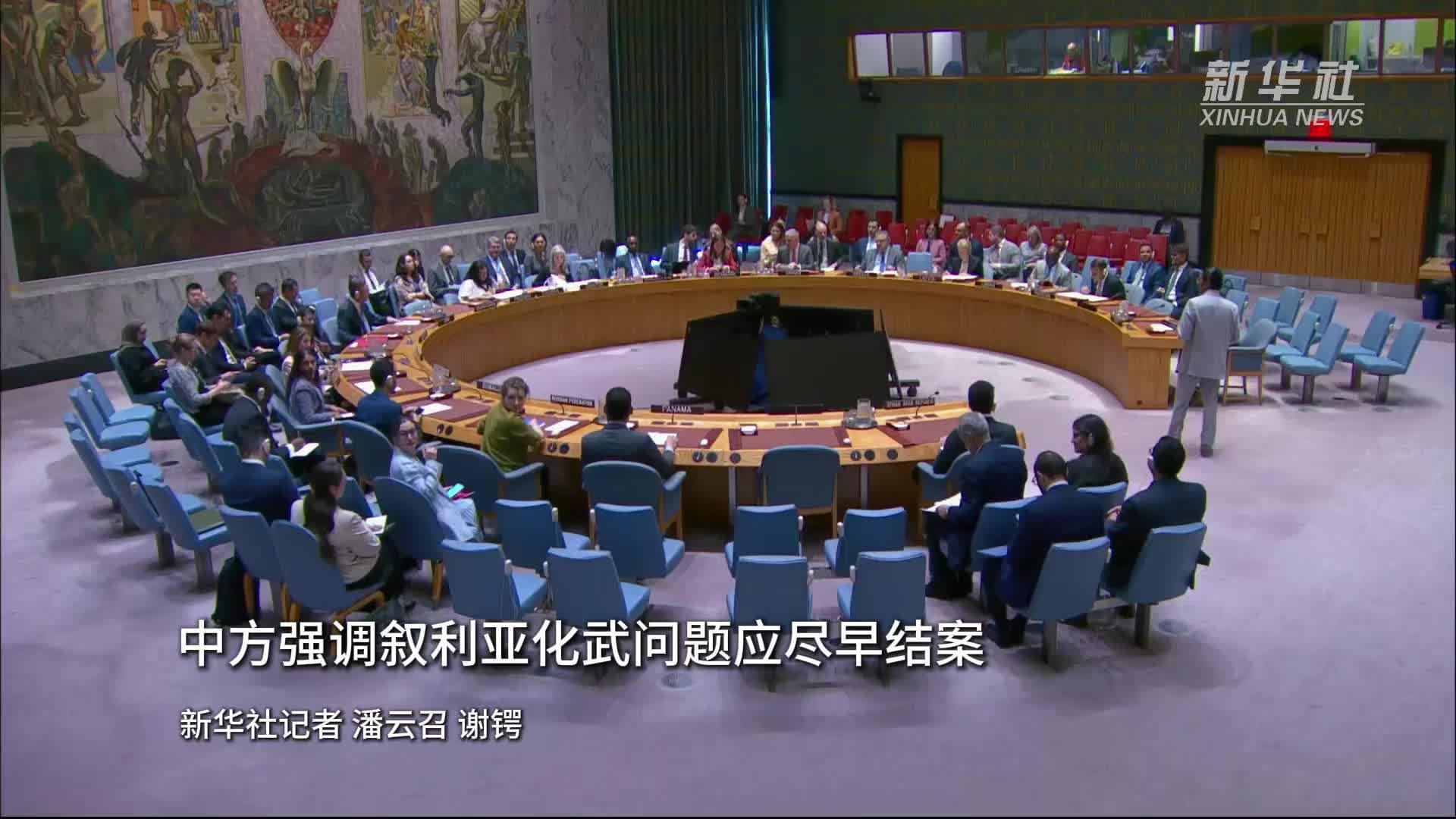 中方强调叙利亚化武问题应尽早结案